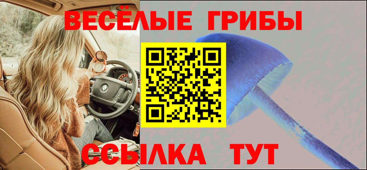Галлюциногенные грибы MAGIC MUSHROOMS Пятигорск