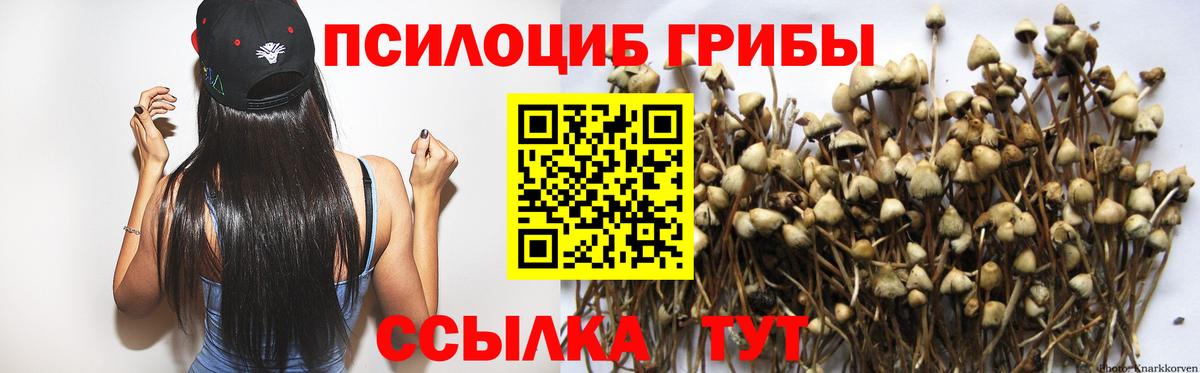 Галлюциногенные грибы ЛСД  Вход с VPN  Галлюциногенные грибы мицелий  Пятигорск 